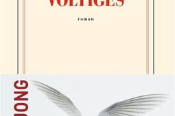 Voltiges_Gallimard_9782073065056.jpg