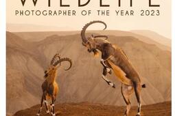 Wildlife photographer of the year 2023 : les plus belles photos de nature.jpg